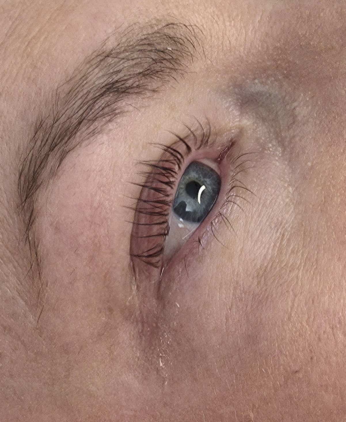 The same lashes after treatment